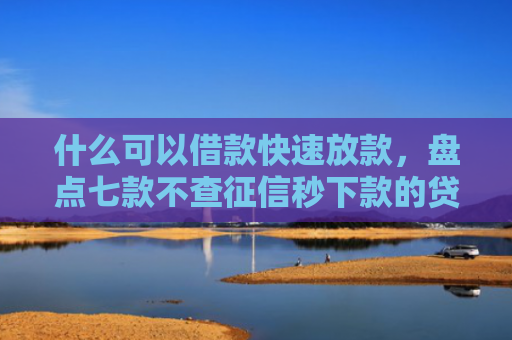 什么可以借款快速放款，盘点七款不查征信秒下款的贷款