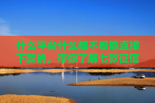 什么平台什么都不看能直接下款的，带你了解七款征信不好也能下款的贷款