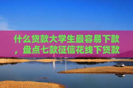 什么贷款大学生最容易下款，盘点七款征信花线下贷款下款