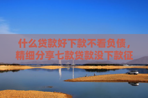 什么贷款好下款不看负债，精细分享七款贷款没下款征信没有