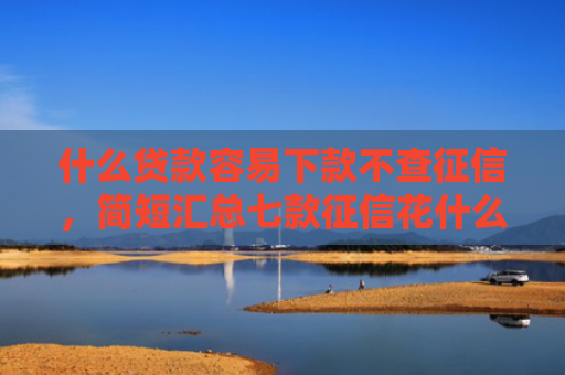 什么贷款容易下款不查征信，简短汇总七款征信花什么贷款好下款