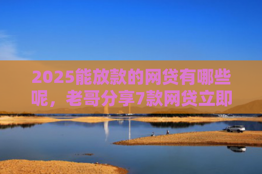 2025能放款的网贷有哪些呢，老哥分享7款网贷立即下款的口子