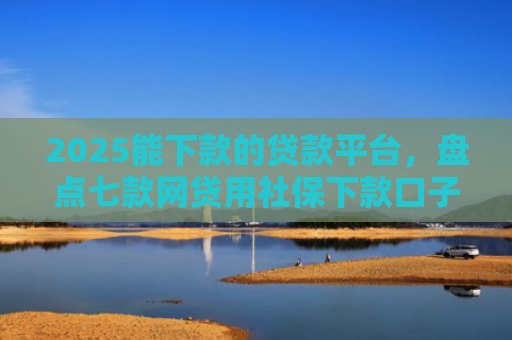 2025能下款的贷款平台，盘点七款网贷用社保下款口子