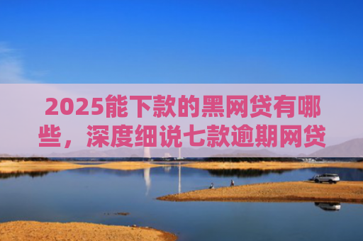 2025能下款的黑网贷有哪些，深度细说七款逾期网贷下款贷款口子