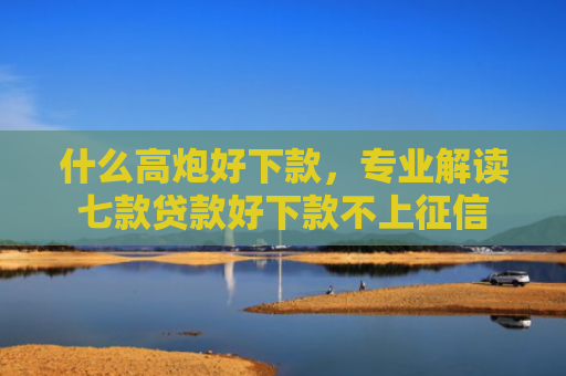 什么高炮好下款，专业解读七款贷款好下款不上征信