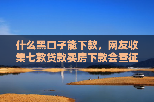 什么黑口子能下款，网友收集七款贷款买房下款会查征信