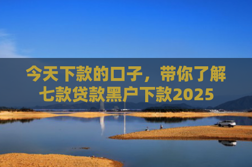今天下款的口子，带你了解七款贷款黑户下款2025