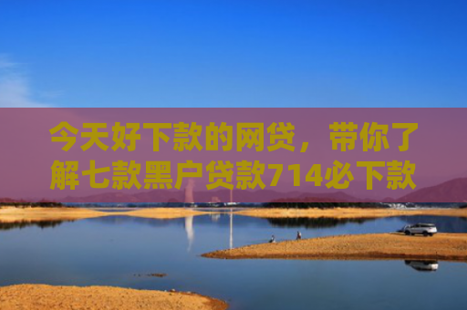 今天好下款的网贷，带你了解七款黑户贷款714必下款