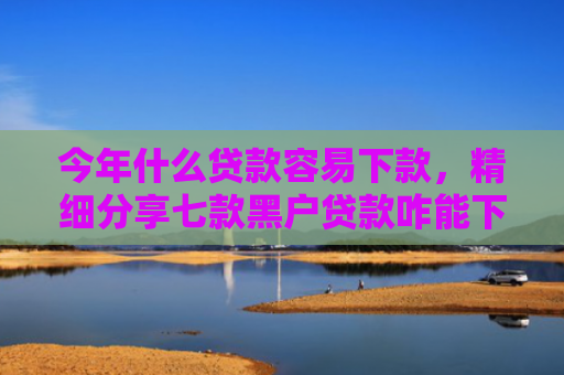 今年什么贷款容易下款，精细分享七款黑户贷款咋能下款