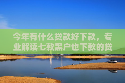 今年有什么贷款好下款，专业解读七款黑户也下款的贷款