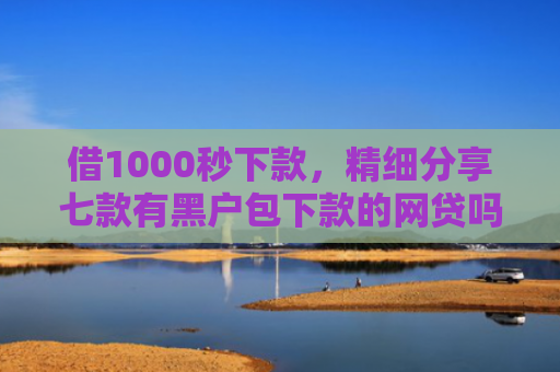借1000秒下款，精细分享七款有黑户包下款的网贷吗