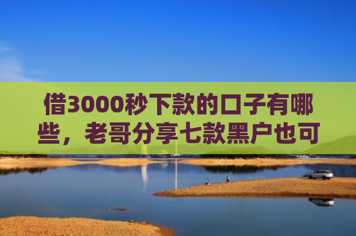 借3000秒下款的口子有哪些，老哥分享七款黑户也可以下款的网贷