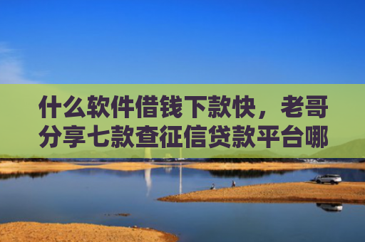 什么软件借钱下款快，老哥分享七款查征信贷款平台哪个好下款