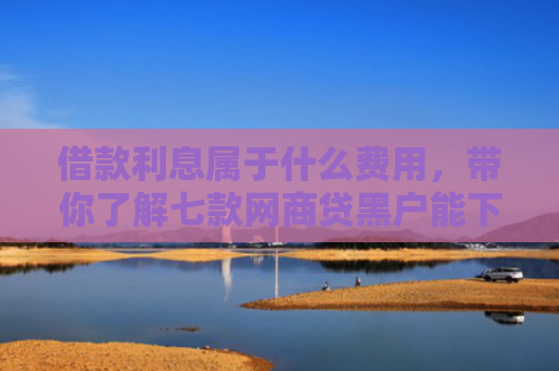 借款利息属于什么费用，带你了解七款网商贷黑户能下款吗怎么办