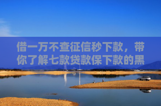 借一万不查征信秒下款，带你了解七款贷款保下款的黑户贷款