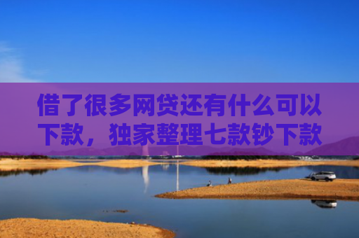 借了很多网贷还有什么可以下款，独家整理七款钞下款黑户借款平台