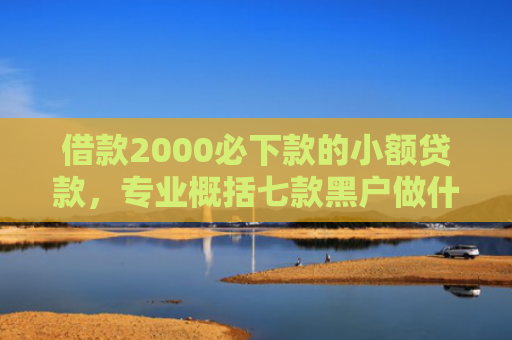借款2000必下款的小额贷款，专业概括七款黑户做什么网贷能下款啊