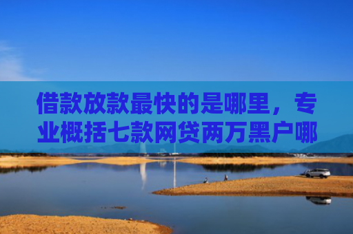 借款放款最快的是哪里，专业概括七款网贷两万黑户哪个好下款