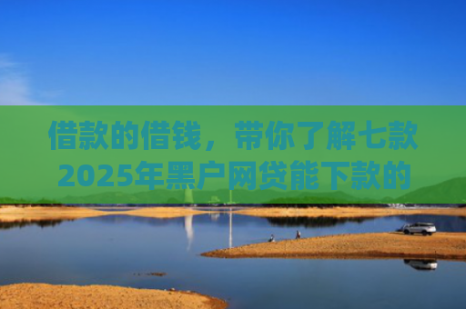 借款的借钱，带你了解七款2025年黑户网贷能下款的app