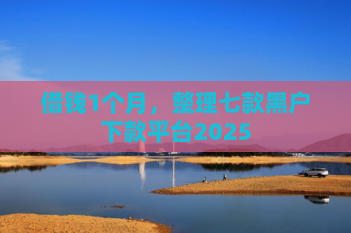借钱1个月，整理七款黑户下款平台2025