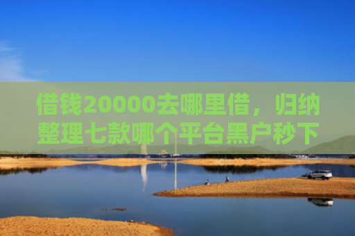 借钱20000去哪里借，归纳整理七款哪个平台黑户秒下款