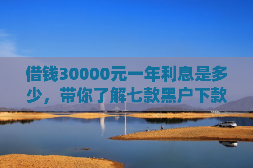 借钱30000元一年利息是多少，带你了解七款黑户下款平台App