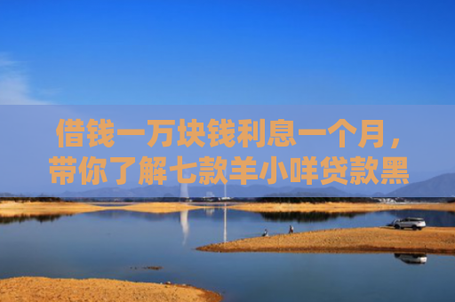 借钱一万块钱利息一个月，带你了解七款羊小咩贷款黑户能下款吗