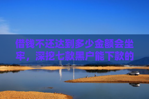借钱不还达到多少金额会坐牢，深挖七款黑户能下款的分期平台