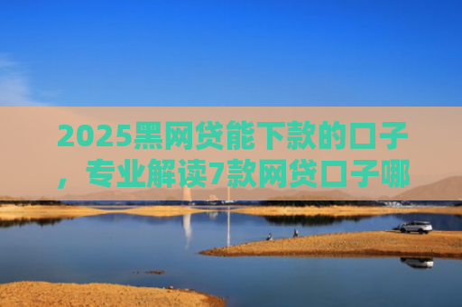 2025黑网贷能下款的口子，专业解读7款网贷口子哪些好下款