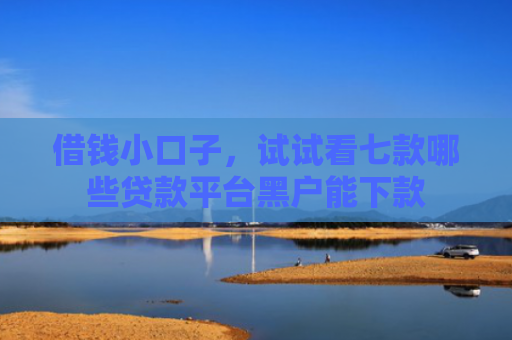 借钱小口子，试试看七款哪些贷款平台黑户能下款