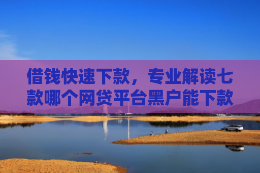 借钱快速下款，专业解读七款哪个网贷平台黑户能下款