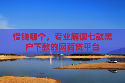 借钱哪个，专业解读七款黑户下款的网商贷平台