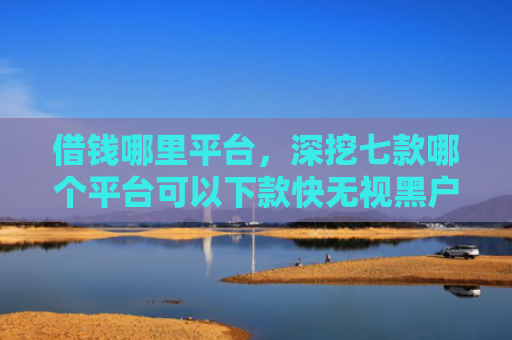 借钱哪里平台，深挖七款哪个平台可以下款快无视黑户