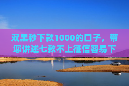 双黑秒下款1000的口子，带您讲述七款不上征信容易下款贷款的app