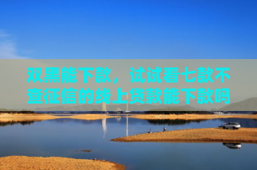 双黑能下款，试试看七款不查征信的线上贷款能下款吗