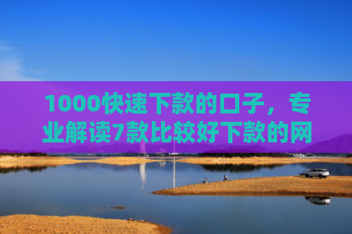 1000快速下款的口子，专业解读7款比较好下款的网贷口子