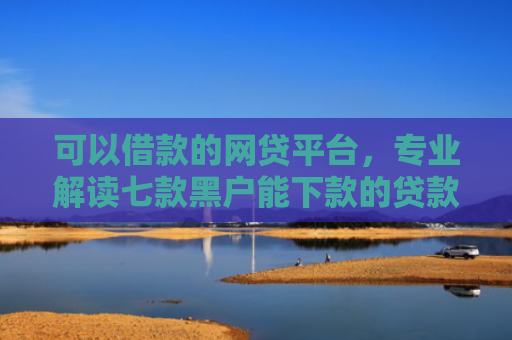 可以借款的网贷平台，专业解读七款黑户能下款的贷款平台