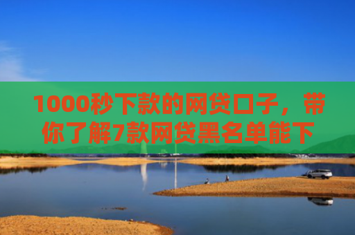 1000秒下款的网贷口子，带你了解7款网贷黑名单能下款的口子
