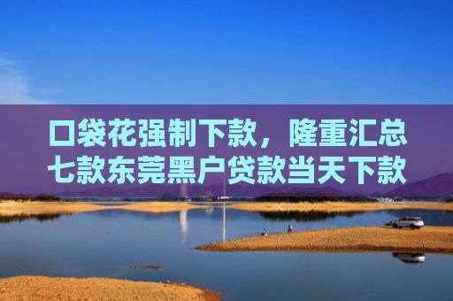 口袋花强制下款，隆重汇总七款东莞黑户贷款当天下款