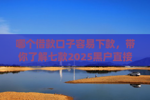 哪个借款口子容易下款，带你了解七款2025黑户直接能下款的app