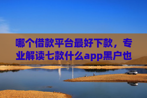哪个借款平台最好下款，专业解读七款什么app黑户也能下款贴吧