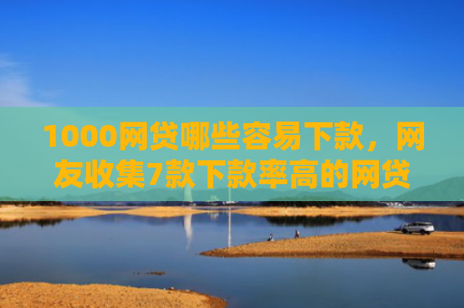 1000网贷哪些容易下款，网友收集7款下款率高的网贷口子