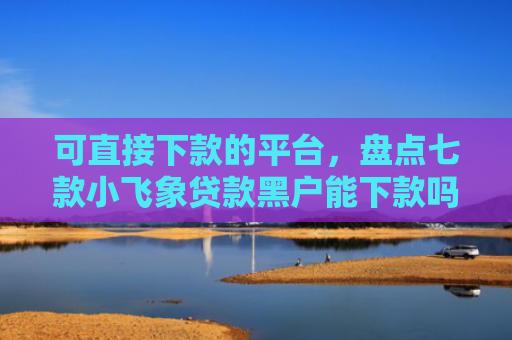 可直接下款的平台，盘点七款小飞象贷款黑户能下款吗