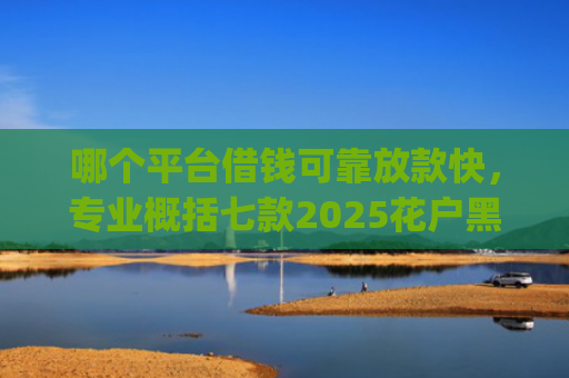 哪个平台借钱可靠放款快，专业概括七款2025花户黑户能下款的app
