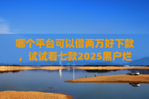 哪个平台可以借两万好下款，试试看七款2025黑户烂户必过秒下款app
