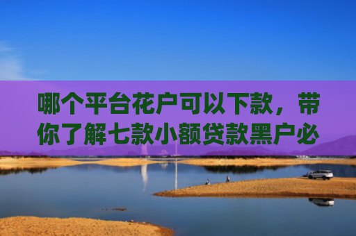 哪个平台花户可以下款，带你了解七款小额贷款黑户必下款的app