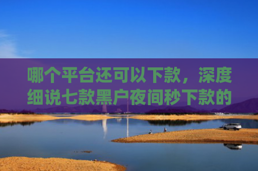 哪个平台还可以下款，深度细说七款黑户夜间秒下款的App2025