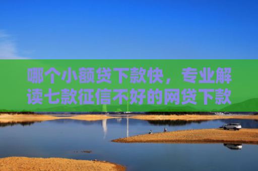 哪个小额贷下款快，专业解读七款征信不好的网贷下款