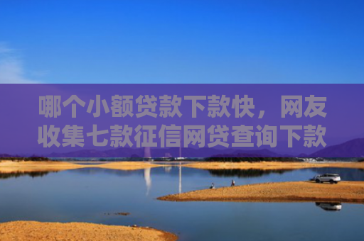 哪个小额贷款下款快，网友收集七款征信网贷查询下款率