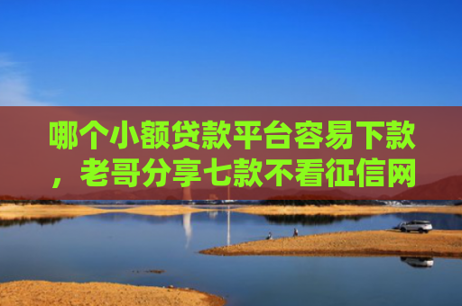 哪个小额贷款平台容易下款，老哥分享七款不看征信网贷快速下款